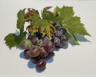 GRAPES WITH VINE LEAVES